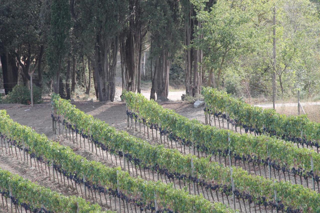 Villa Agriturismo Il Poderuccio Castiglione dʼOrcia Exterior foto