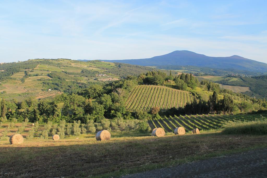 Villa Agriturismo Il Poderuccio Castiglione dʼOrcia Exterior foto